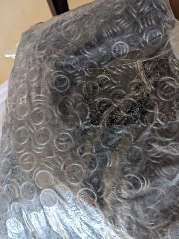 Gioăng cao su O-ring 12×3mm chịu dầu, chịu nhiệt — PXL 102931404.MP Gioăng cao su O-ring 12×3mm chịu dầu, chịu nhiệt — PXL 102931404.MP