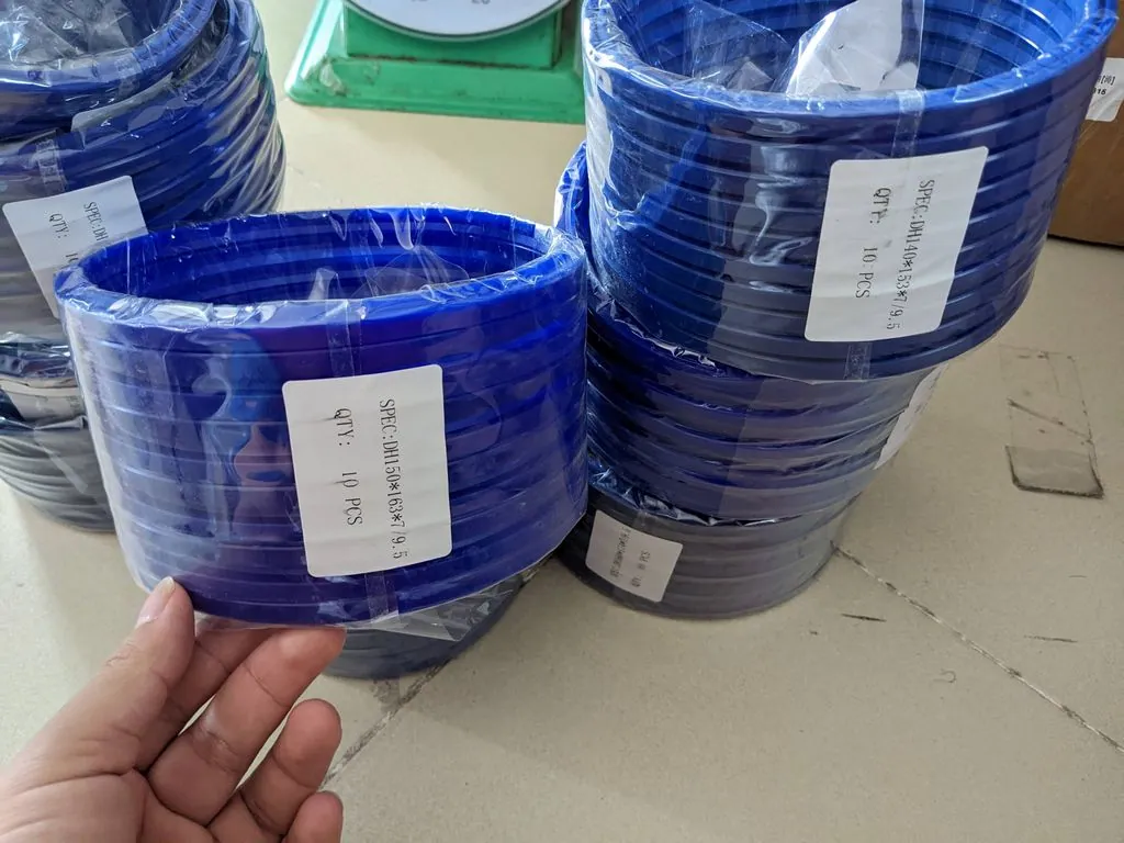 Phớt bụi DHS