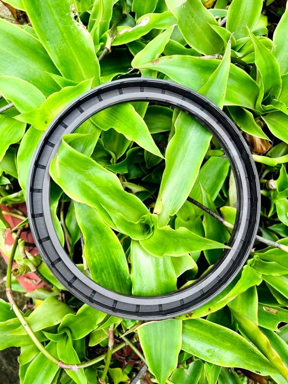 Phớt chặn dầu TC 245×280mm — NBR/FKM, dày 15mm — Phot chan dau 170x200x15 TG Phớt chặn dầu TC 245×280mm — NBR/FKM, dày 15mm — Phot chan dau 170x200x15 TG