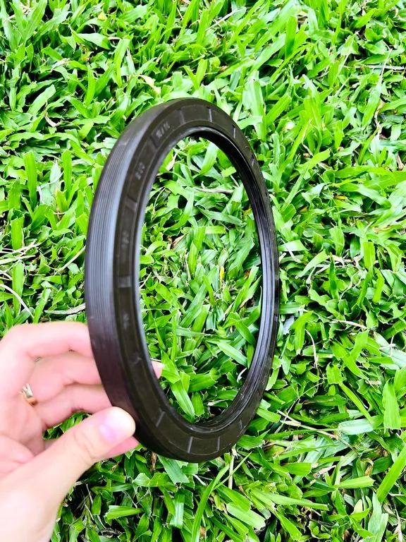 Phớt chặn dầu TC 123×280mm — NBR/FKM, dày 15mm — Phot chan dau 190x230x18(19) TG SVKS Phớt chặn dầu TC 123×280mm — NBR/FKM, dày 15mm — Phot chan dau 190x230x18(19) TG SVKS