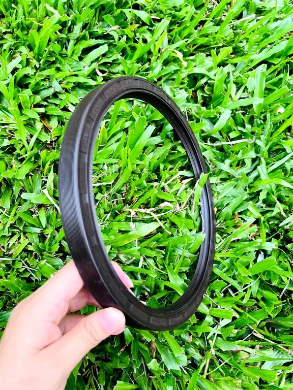 Phớt chặn dầu TC 30×48mm — NBR/FKM, dày 7/8/10mm — Phot chan dau 200x230x18 TG Phớt chặn dầu TC 30×48mm — NBR/FKM, dày 7/8/10mm — Phot chan dau 200x230x18 TG