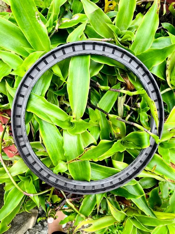 Phớt chặn dầu TC 190×235mm — NBR/FKM, dày 15mm — Phot chan dau 240x280x15 TG SVKS Phớt chặn dầu TC 190×235mm — NBR/FKM, dày 15mm — Phot chan dau 240x280x15 TG SVKS