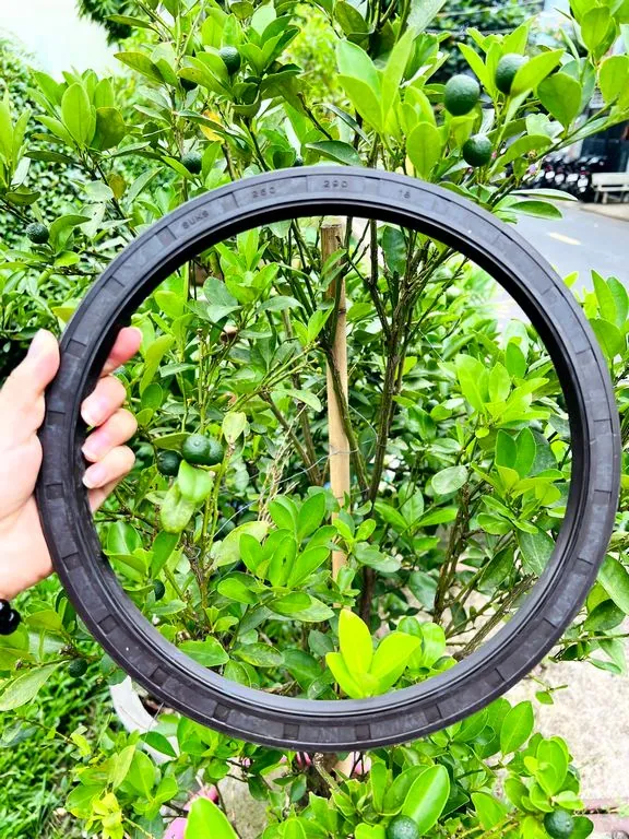 Phớt chặn dầu TC 14×28mm — NBR/FKM, dày 7/8mm — Phot chan dau 320x360x20 TG Phớt chặn dầu TC 14×28mm — NBR/FKM, dày 7/8mm — Phot chan dau 320x360x20 TG