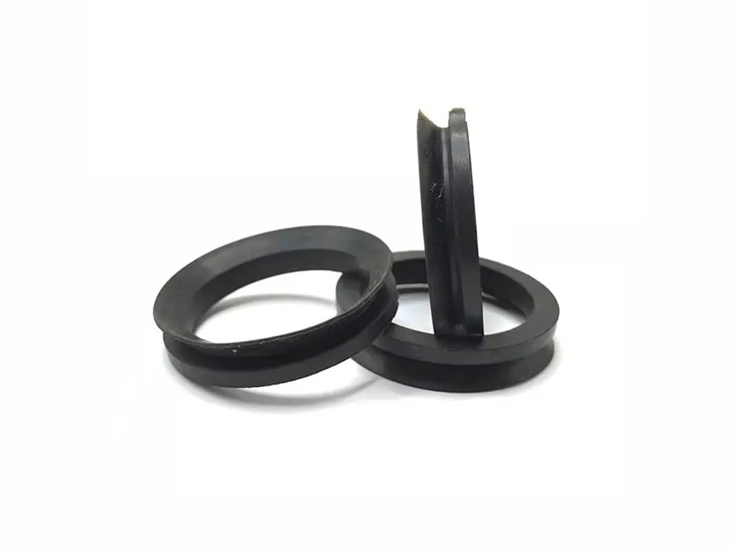 Phớt V-ring VS: phớt V-ring đen, một chiếc dựng đứng thấy biên dạng chữ V